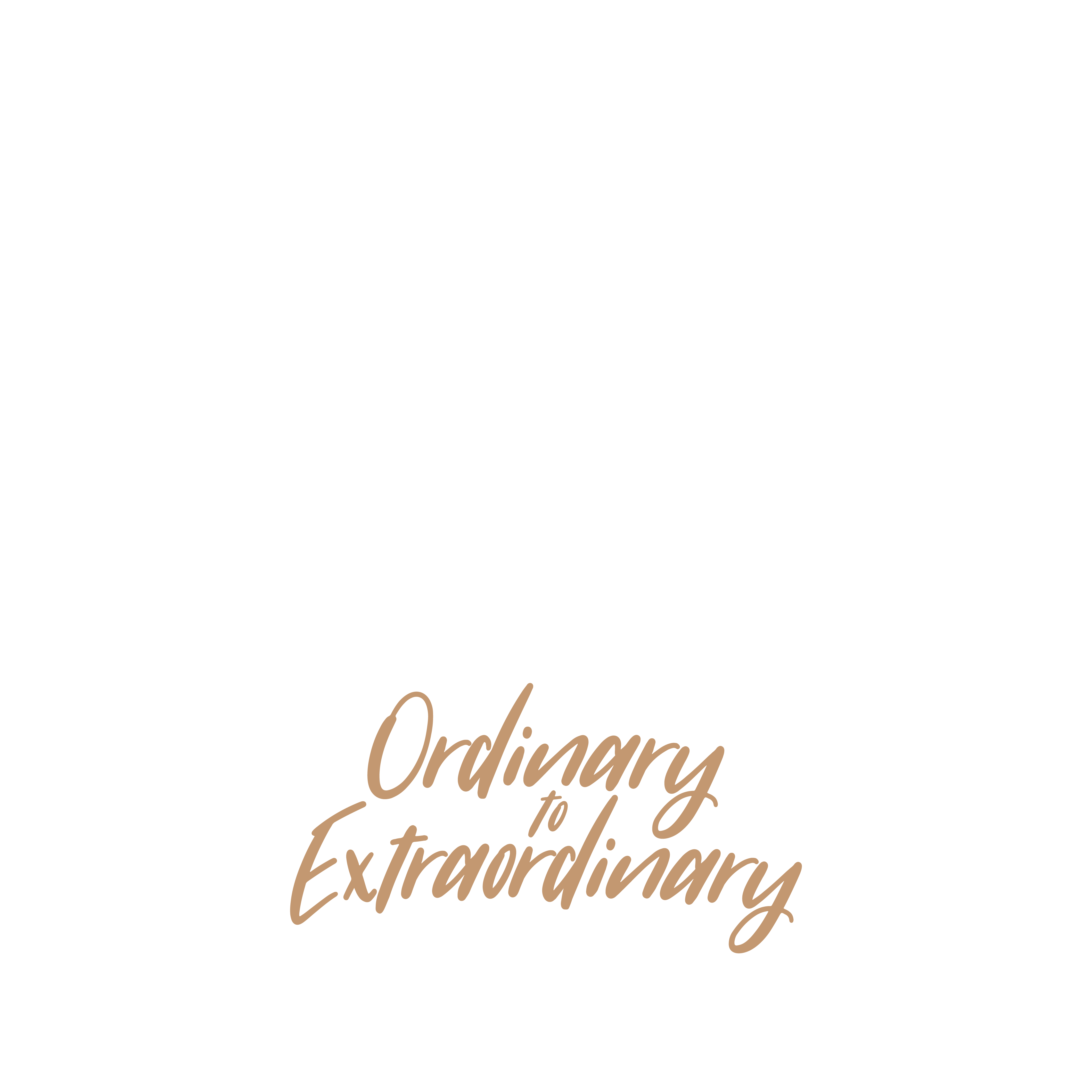 Absolute Luxury Floors circular logo